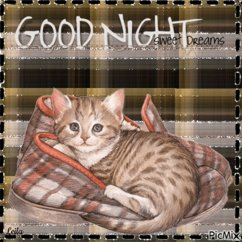 Good Night, Sweet Dreams. Cat - Free animated GIF - PicMix