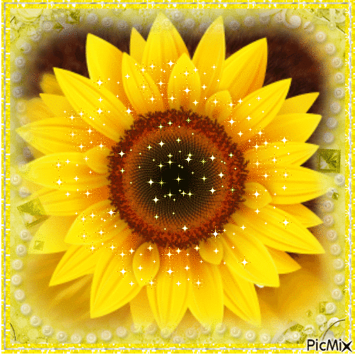 Sunflower - Free animated GIF - PicMix